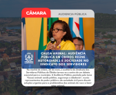 Óbidos debate causa animal como questão de saúde pública