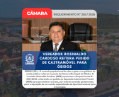 O controle populacional de cães e gatos e as políticas de saúde pública