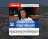 ÓBIDOS, PA — A prática esportiva, a integração comunitária e a preservação histórica do município de Óbidos ganharão um reforço oficial. A vereadora Lilene Viana apresentou o Projeto de Lei Legislativo Nº 08/2026, que visa instituir a Corrida de Dom Floriano no Calendário Oficial de Eventos do Município.
